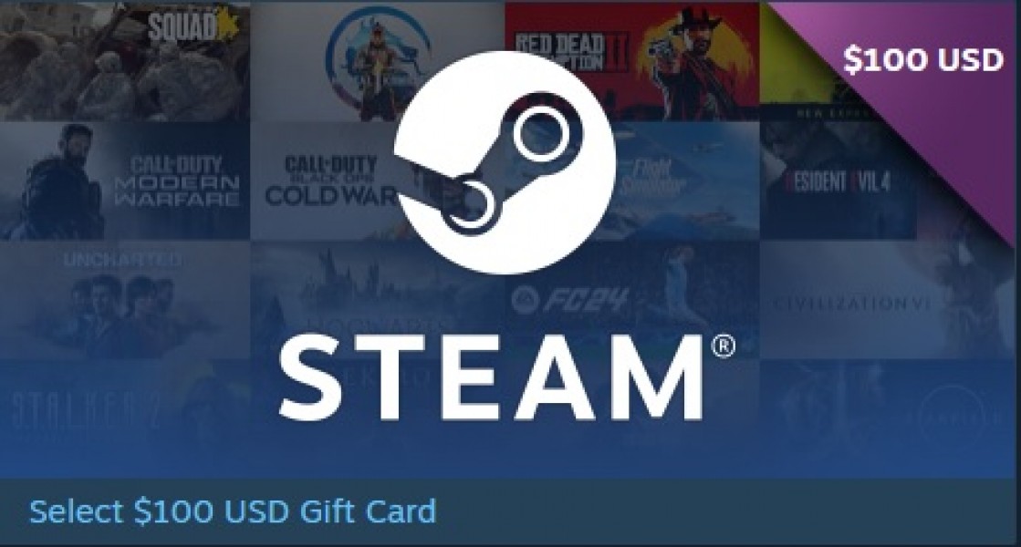 Steam 100 $ (MENA)