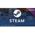 Steam 100 $ (MENA)