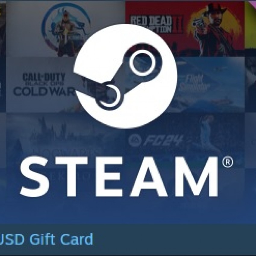 Steam 100 $ (MENA)